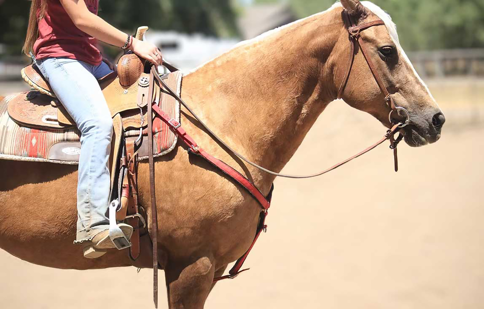 Four people riding horses in the meadow at Highlands Ranch
